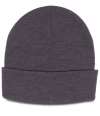 RX290 Pro RTX Pro Beanie Charcoal colour image